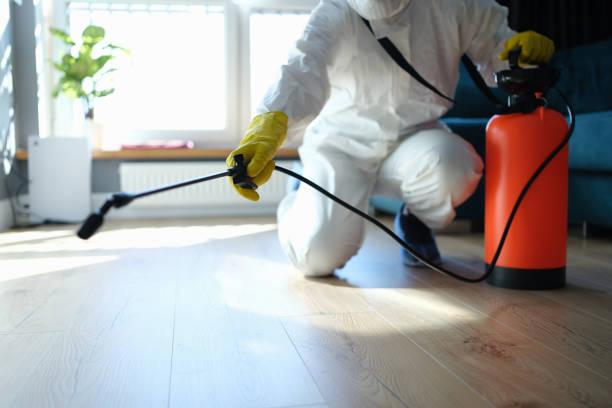 Reliable Blood Cleanup contractor in Cosmopolis, WA by Trauma Clean Pros